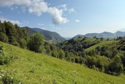 Teren intravilan  Pestera Brasov, 11908 mp - 10