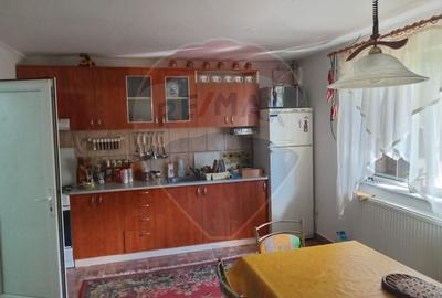 OCAZIE!!! CASA SUPERBA cu teren in JULITA jud Arad in M tii Zarandului - 36