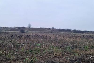 Spațiu comercial, în Oncea - 6