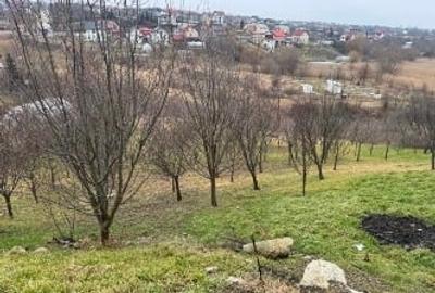 Teren agricol intravilan de 4320 mp, în Central - 4