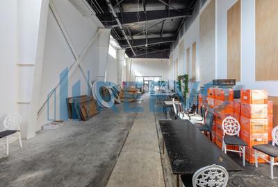 Proprietate specială, în Gârleni - 22