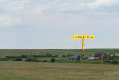 Teren de 13100 mp, în Bod