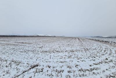 Teren industrial de vanzare in Stupini - 3