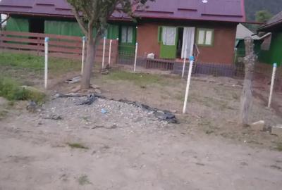 Casa de lemn 1800mp