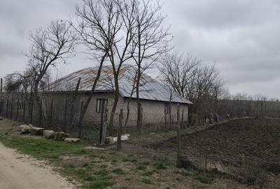 Casă cu 4 camere cu Teren 1700 Mp în Băbăița - 5