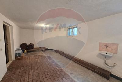 Casă cu 7 camere cu Teren 5175 Mp în Vințu de Jos - 17