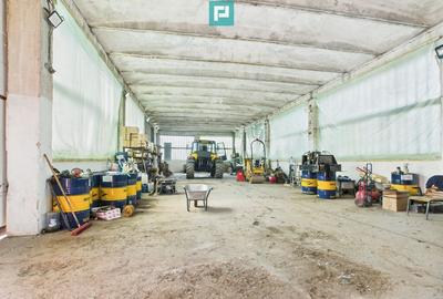 Complex industrial cu hale ?i teren in Or?i?oara - 3