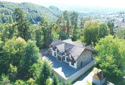 Pensiune de vanzare in Sovata Conacul Cosalina - 35