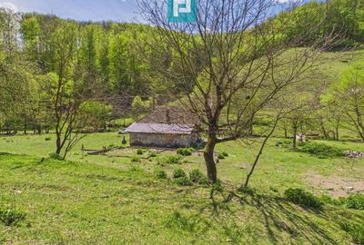 Teren Construcții intravilan de 13199 mp, în Luncoiu de Jos - 6
