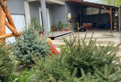 Casă cu 4 camere în Alexandru Odobescu - 7