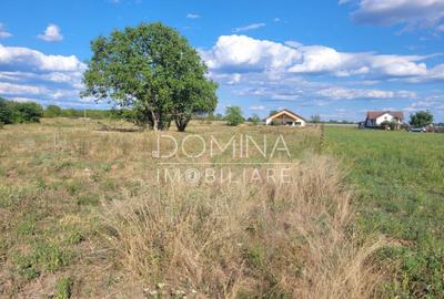 Teren intravilan cu PUZ, situat in Targu-Jiu, Slobozia - 3