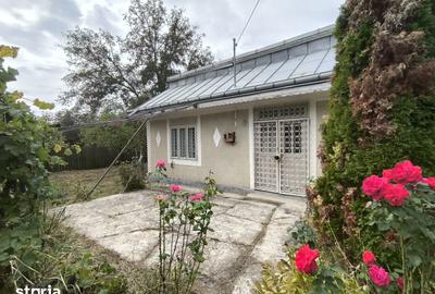 Casă cu 2 camere cu Teren 1300 Mp în Dobrovăț - 4