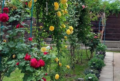 Particular vand casa Buftea - 6