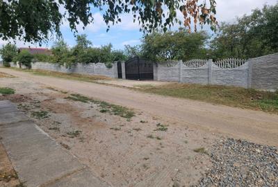 Spațiu comercial, în Viile Satu Mare - 3