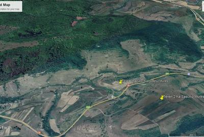 Teren de 30000 mp, în Saschiz - 4