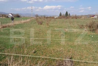 Teren intravilan 5000 mp, investi?ie intr-o zona in dezv - 2