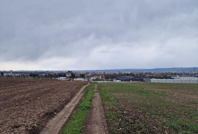 Teren 10,000mp Bacau / Strada Alexandru Safran - 7