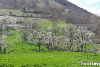 Casa individuala, 5500 mp teren, zona Vintu de Jos, Inuri - 3