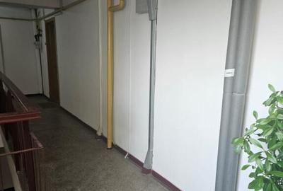 Apartament 3 camere 2 bai Calea lui Traian - 2