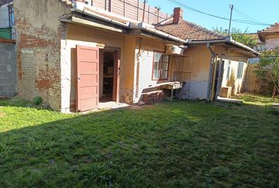 Casa in Elisabetin - 3