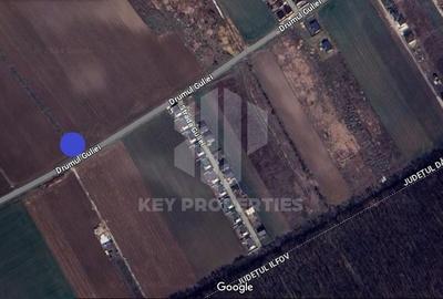 Samurcasi - Drumul Guliei, acces drum asfaltat - 3