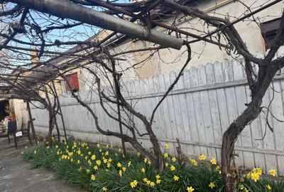 Casă cu 2 camere în Central - 5