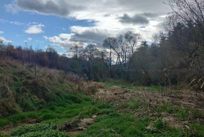 Teren intravilan de vanzare cu Autorizatie de constructie, Feleacu - 8