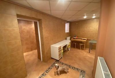 Casa individuala, gradina, Dorobanti, metrou Piata Romana Casa individuala, gradina, Dorobanti, metrou Piata Romana - 26