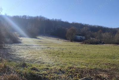 Casă cu 5 camere în Burjuc - 5