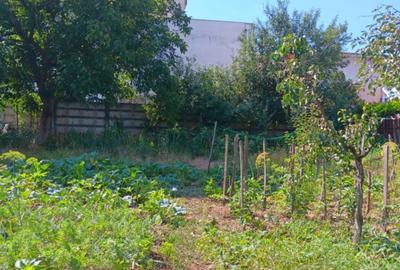 Casă cu 3 camere cu Teren 644 Mp în Marghita - 6
