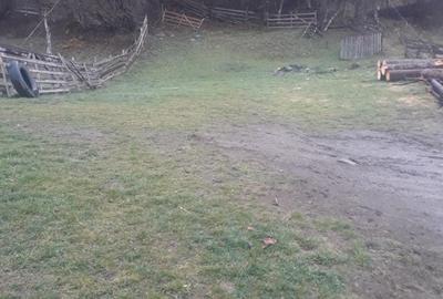 Spațiu comercial, în Mureșenii Bârgăului - 5