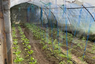 Casa de vanzare in Hida - 10