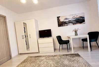 7 Noiembrie - Inchiriere apartament 1 camera - B-dul. 22 Decembrie 1989 7 Noiembrie - Inchiriere apartament 1 camera - B-dul. 22 Decembrie 1989 - 3