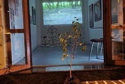 Spațiu Comercial || Vitrina || Stradala || Ultracentral || Victoriei - 12