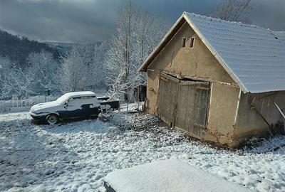 Casa cu teren si padure la tara - 16