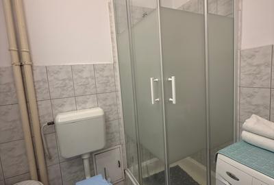 Apartament cu 2 camere decomandat, mobilat în Ultracentral - 17