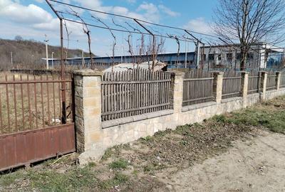 Spațiu comercial, în Central - 2