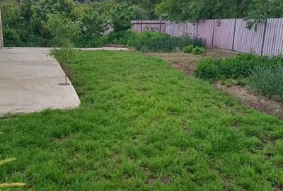 Casă cu 2 camere cu Teren 3868 Mp în Central - 8