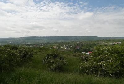 Casă cu 6 camere cu Teren 23000 Mp în Horodiștea - 2