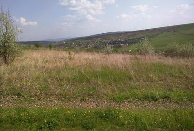 Păcurari-Platou Beldiman ( LA STEJARI SECULARI ) 490 mp , oportunitate reala - 15