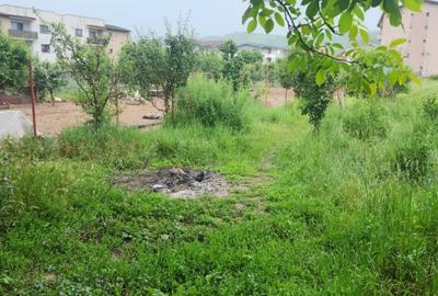 Teren Construcții intravilan de 3574 mp, în Florești