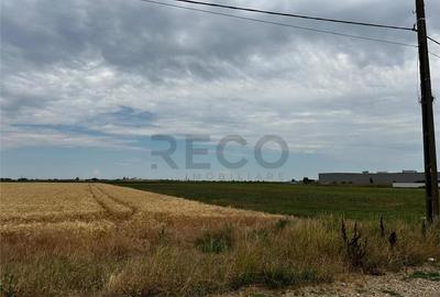 RECO Teren Extravilan(4500 MP) in Oradea - 3