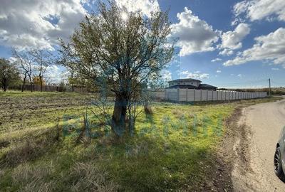 Teren de 1000 mp, în Mischii - 3