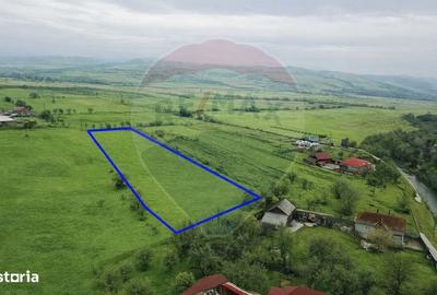 Teren de 6956 mp, în Sâncraiu - 1