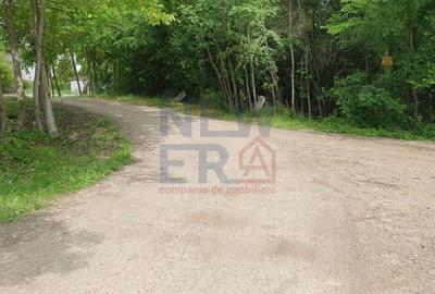 De vanzare 2.770mp teren intravilan Snagov - 4