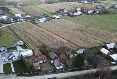 Casa de vanzare in Com Fratautii Noi - 8