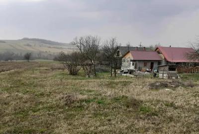 Casă cu 2 camere în Asuaju de Sus - 3