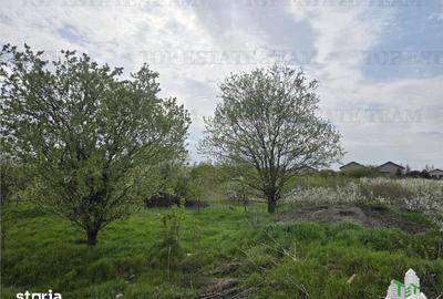 Teren de 2325 mp, în Joița - 6