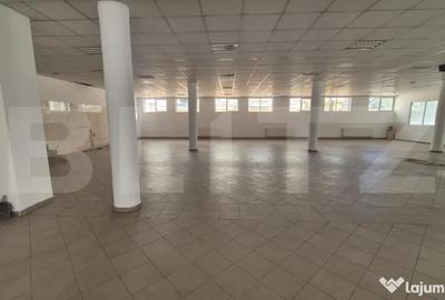 Spațiu comercial, de 773 mp, în Lucian Blaga - 3