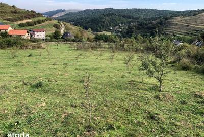Teren de 5100 mp, în Florești